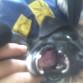 jugando cuando cachorro